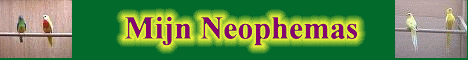 Neophema